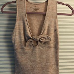 American Eagle Crop Top